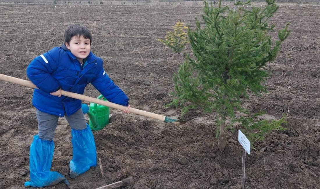 21 Mart Dünya Ormancılık