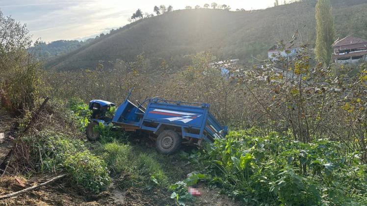 Zonguldak'ın Alaplı ilçesinde kontrolden