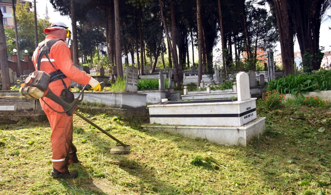  Zonguldak’ın Alaplı ilçesinde