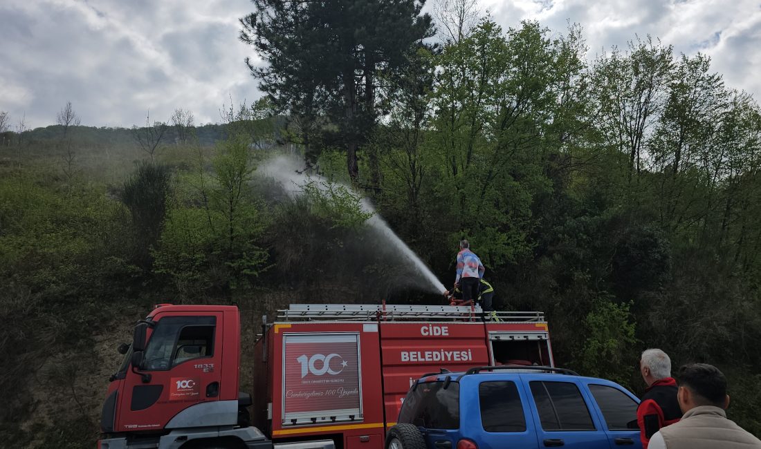 Kastamonu’nun Cide ilçesinde ormanlık