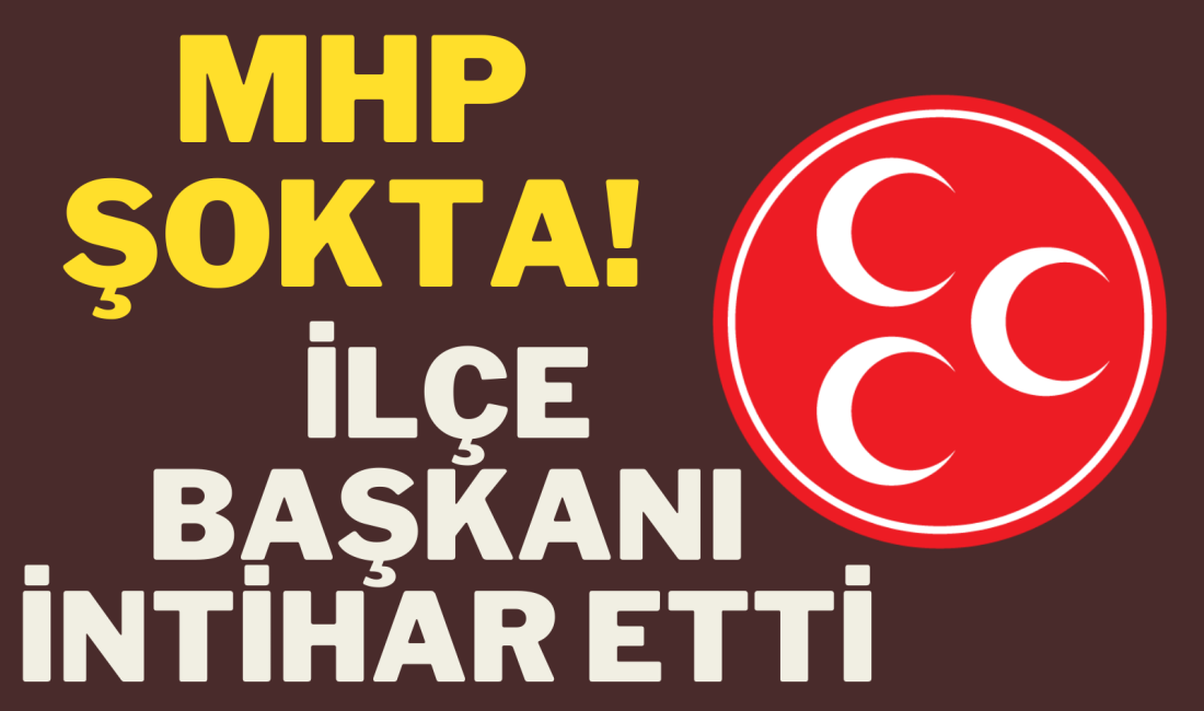 MHP Alaplı eski İlçe