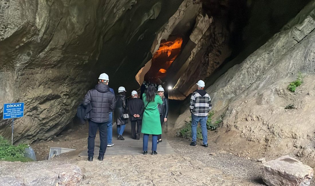 Karadeniz Ekonomik İşbirliği Parlementer