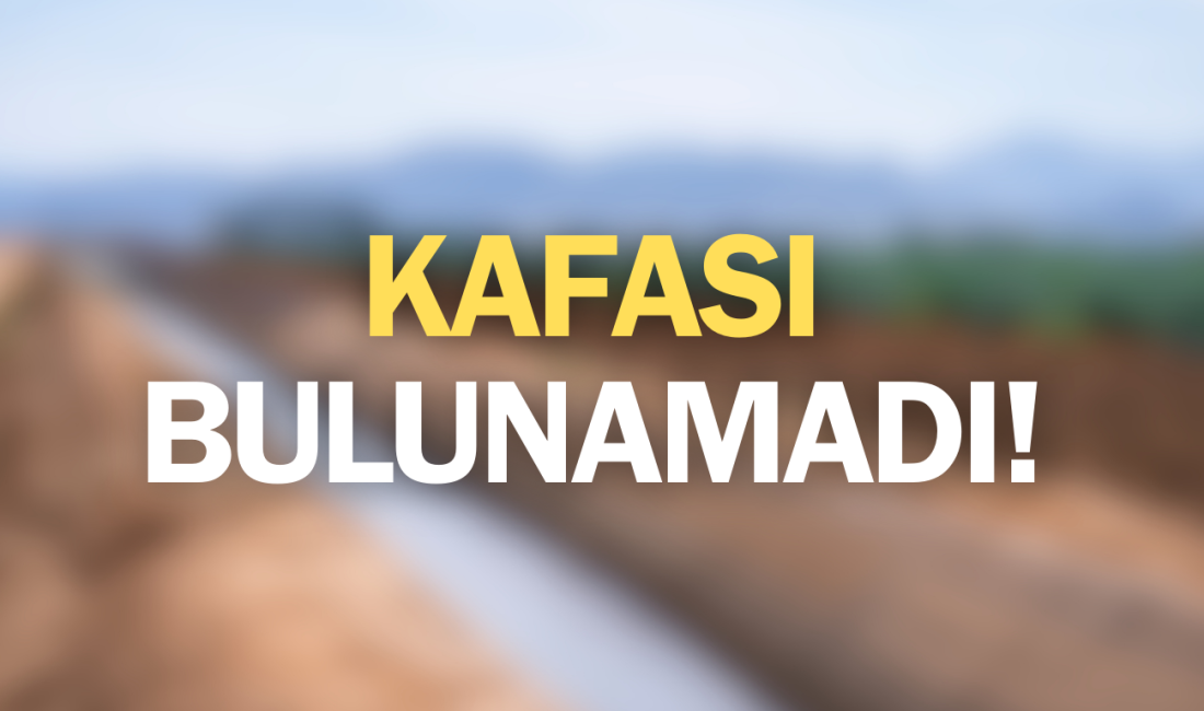 Sulama kanalında baş bölgesi