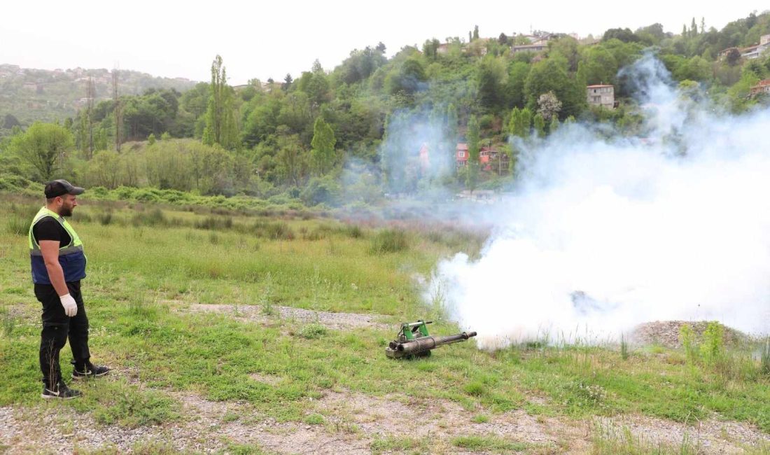 Zonguldak Belediyesi Veteriner İşleri