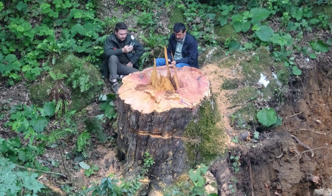 Zonguldak’ta yüklenici firmanın dere