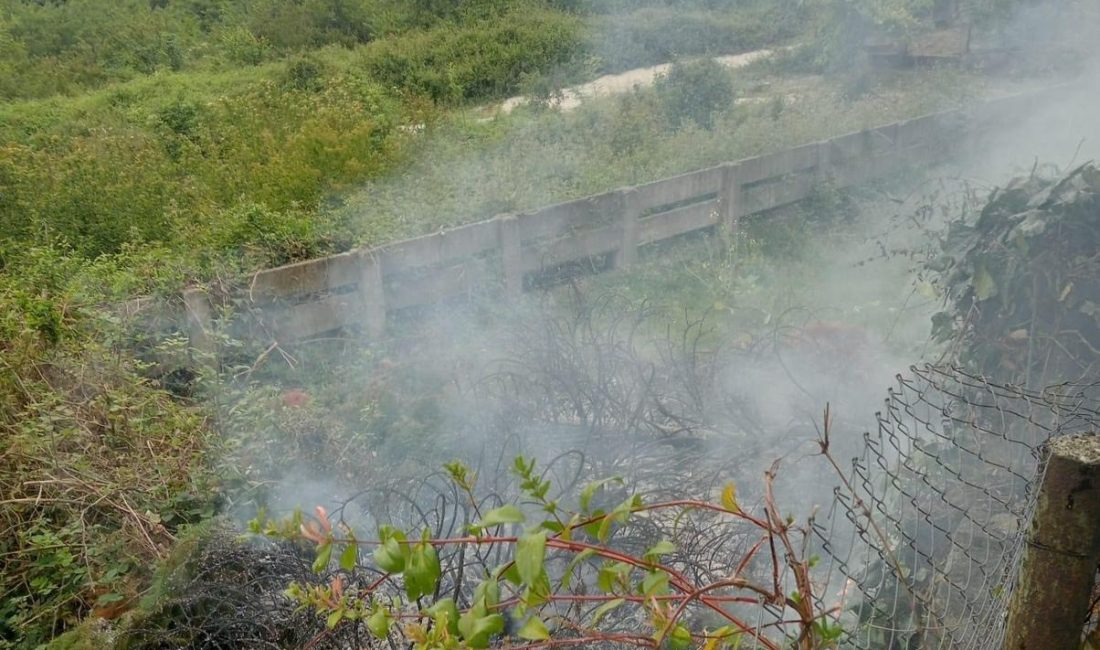 Zonguldak’ın Kozlu ilçesinde çıkan