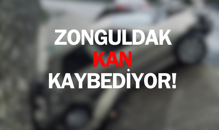 Zonguldak’ta geçen yıl bin