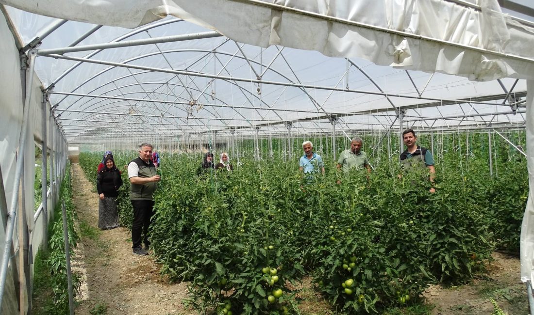 Zonguldak Orman Bölge Müdürlüğünce orman