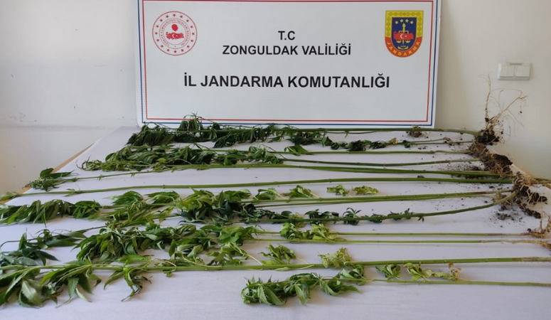 Zonguldak İl Jandarma Komutanlığı