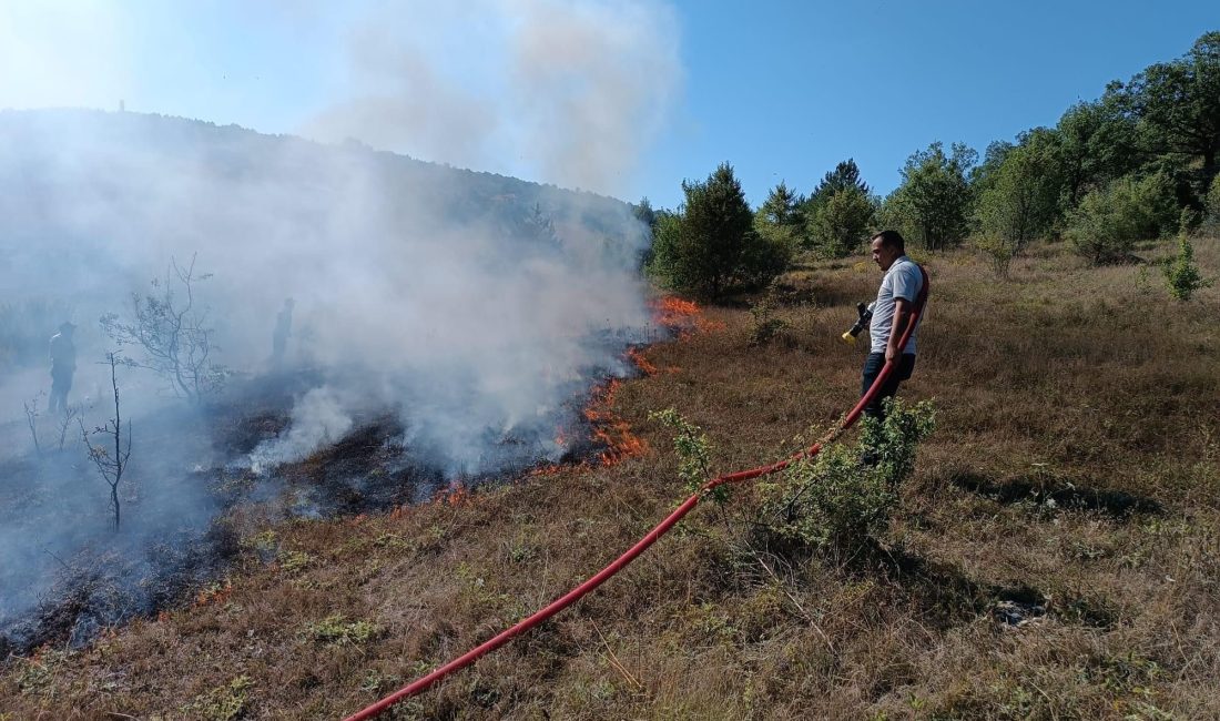 Mezarlıkta çıkan yangın ormana