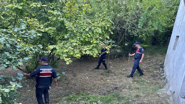 Zonguldak‘ın Alaplı ilçesinde kaybolan