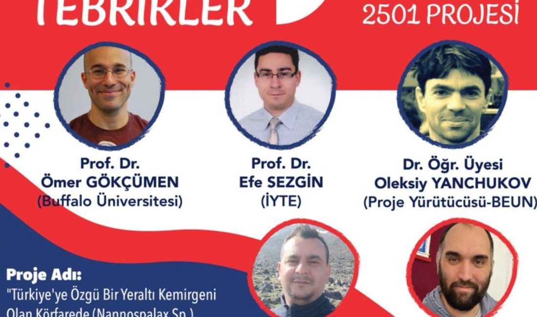 Zonguldak Bülent Ecevit Üniversitesi