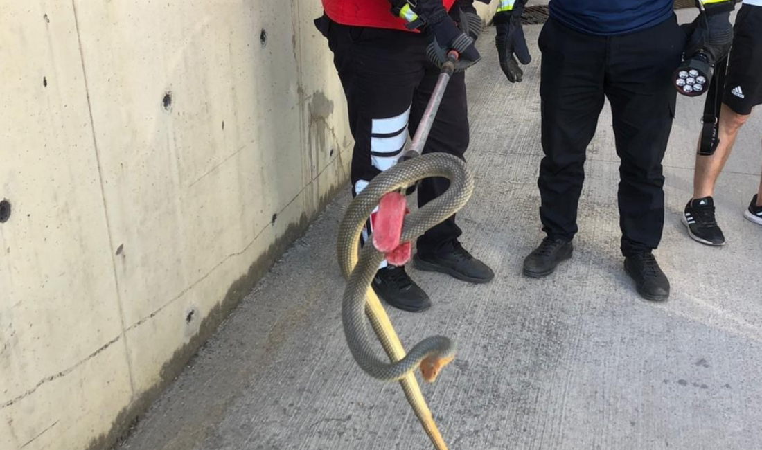 Zonguldak’ta bir apartmanın otoparkına