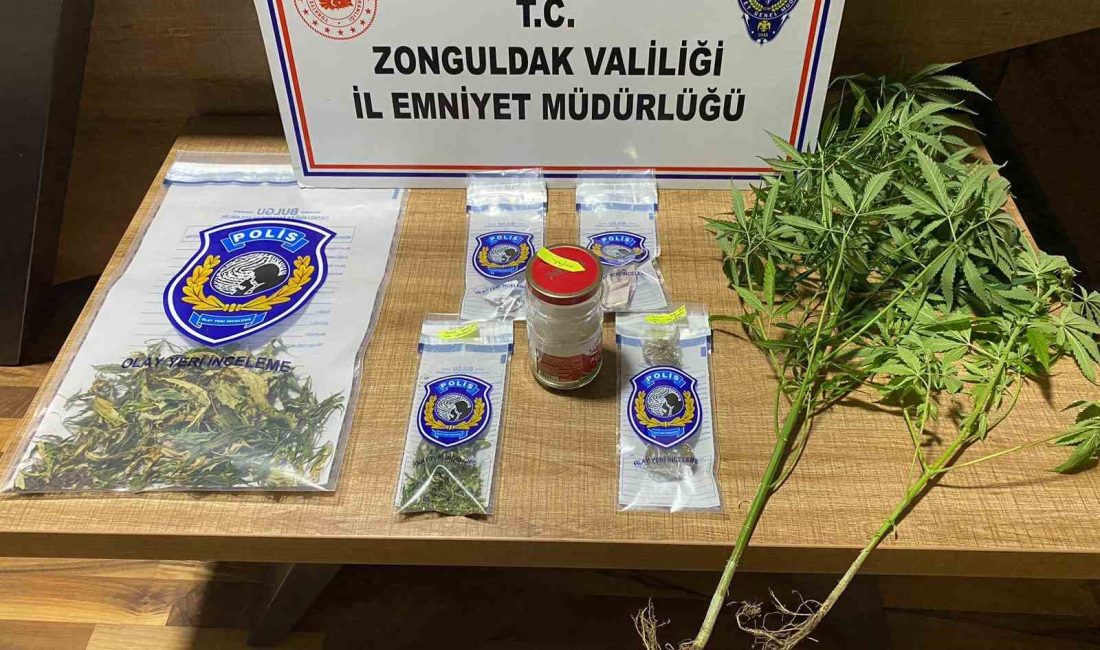 Zonguldak Valiliği, 5-11 Ağustos