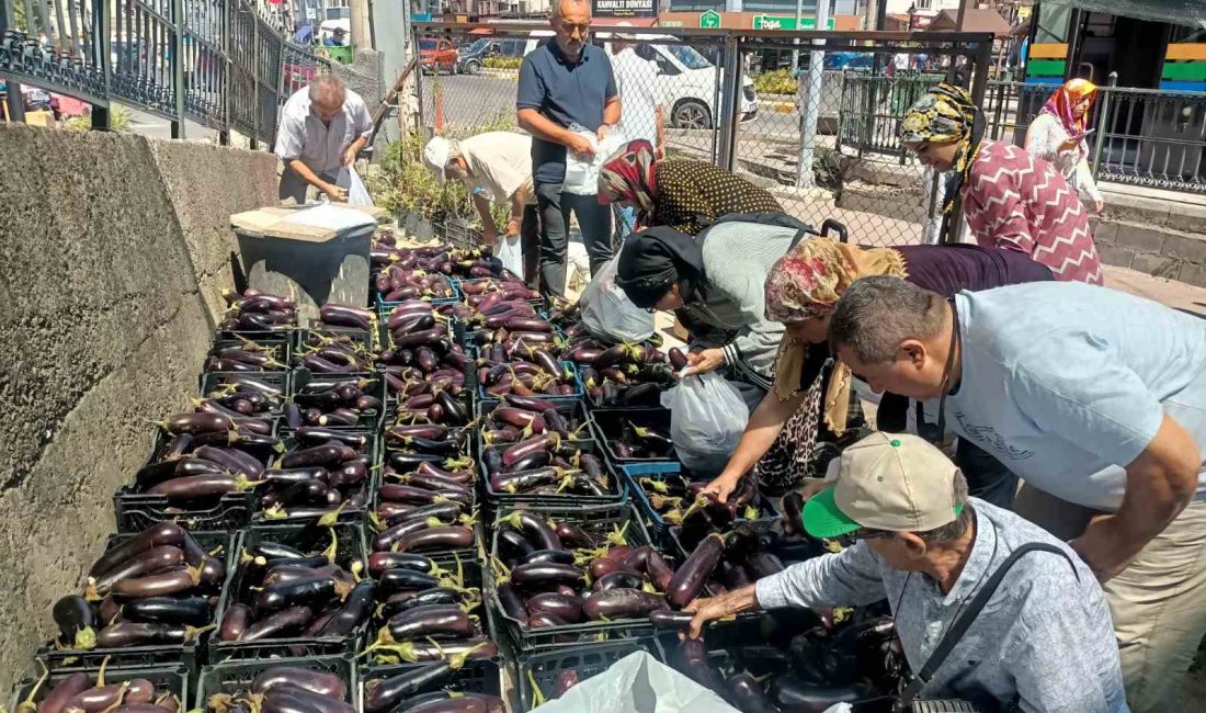 Zonguldak’ın Ereğli ilçesinde Ziraat