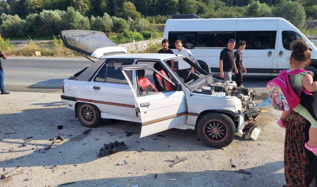 Zonguldak’ın Alaplı ilçesinde meydana