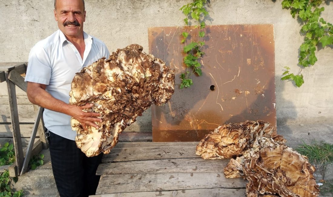 Bir vatandaş ormanda bulunduğu