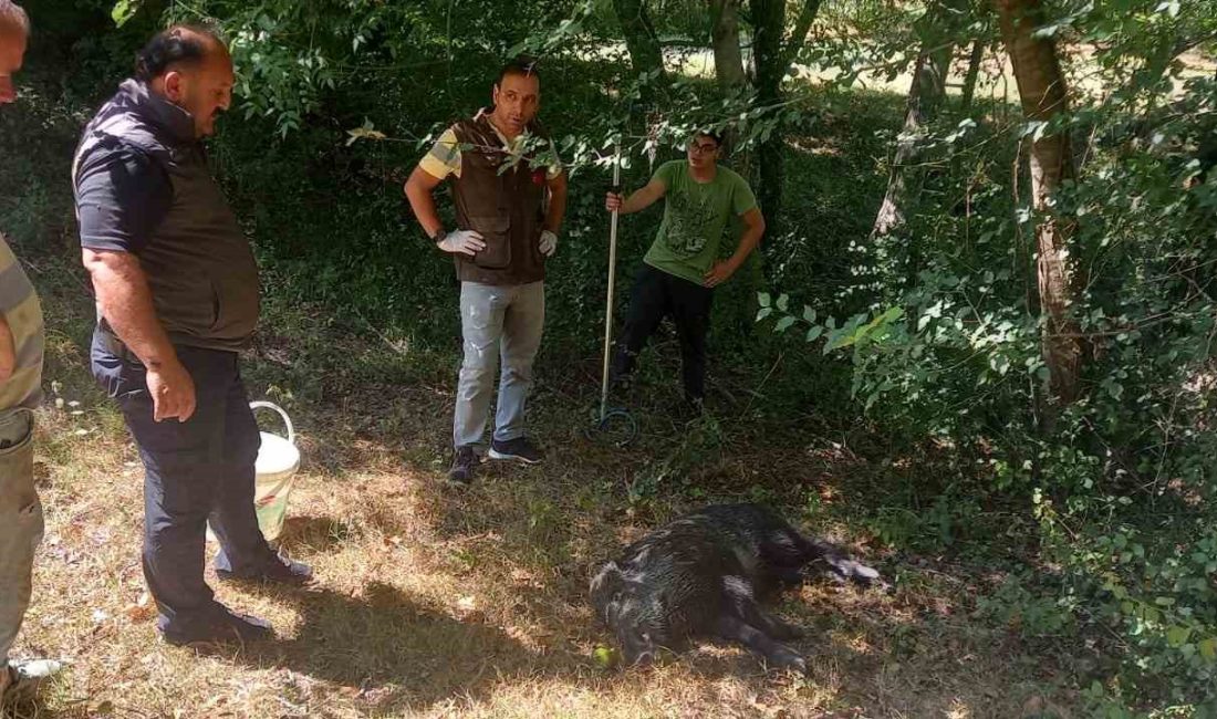 Zonguldak’ta su kuyusuna düşen