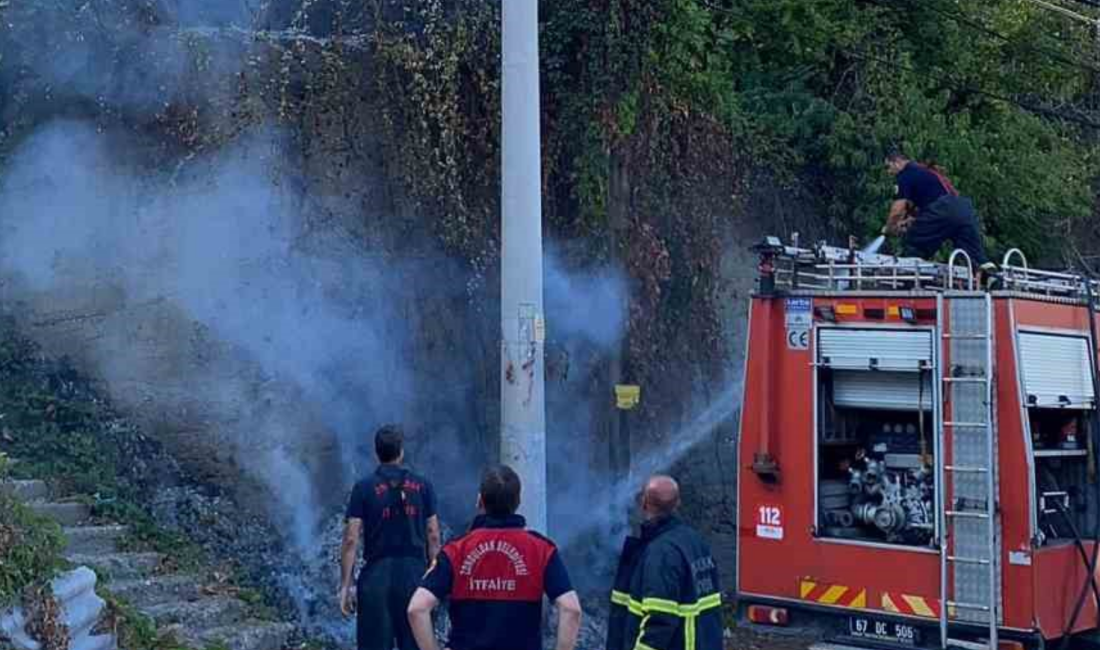 Zonguldak’ta ormanlık alanda yakılan