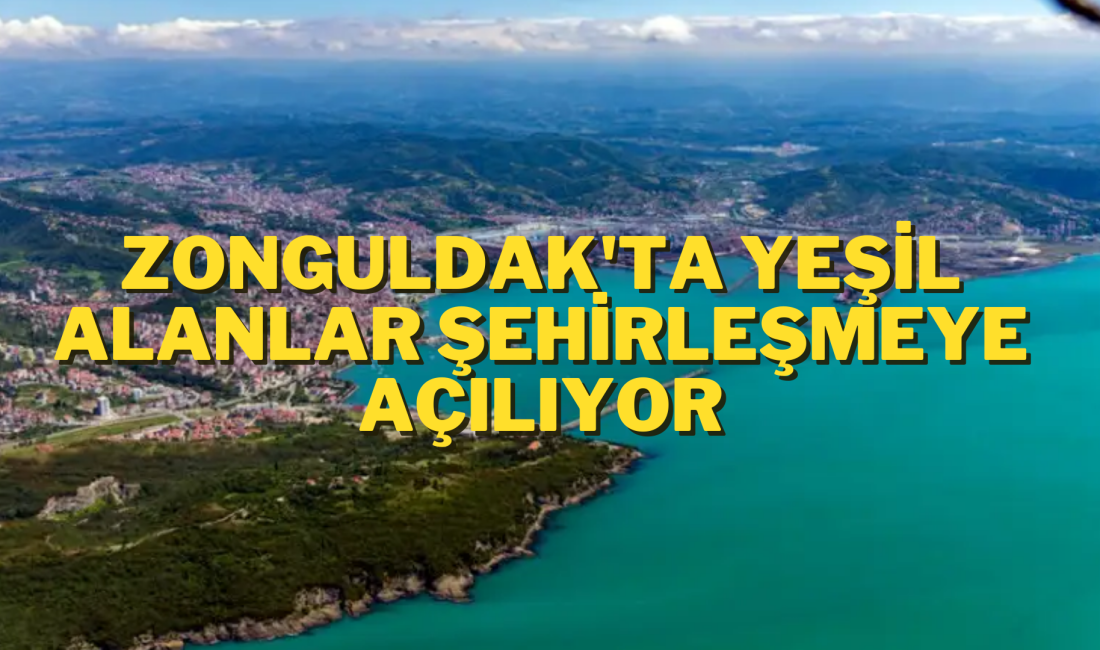 Zonguldak'ta 11 Hektarlık Alan