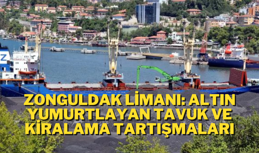 ALTIN YUMUTLAYAN TAVUK TTK