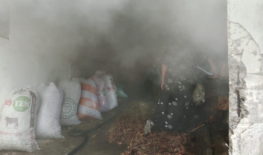 Zonguldak’ın Alaplı ilçesine bağlı