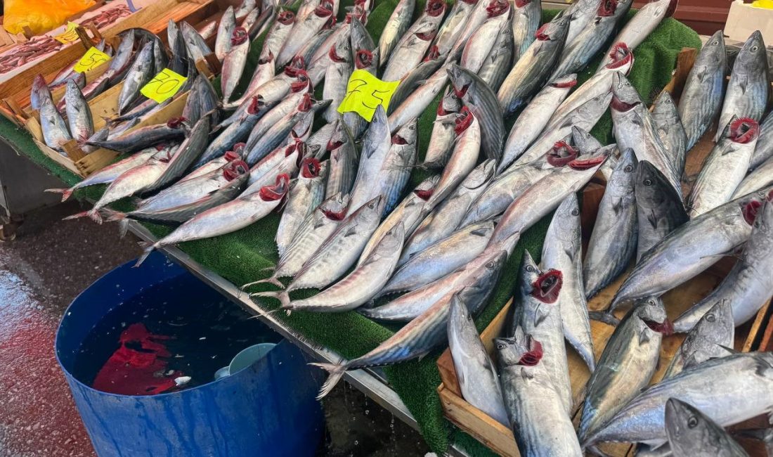 Zonguldak’ta günlerdir denizlerde yaşanan