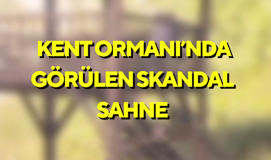 Zonguldak’ın Çaycuma ilçesinde bulunan