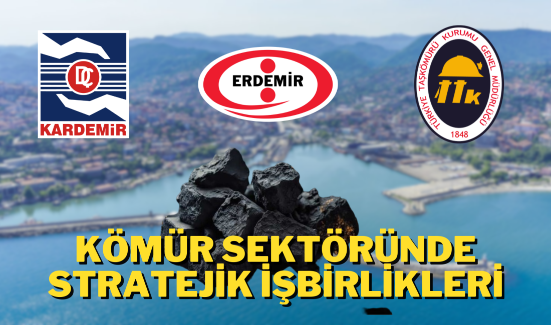 Türkiye Taşkömürü Kurumu, ERDEMİR,