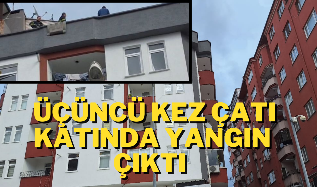 Zonguldak'ın İncivez Mahallesi Üniversite