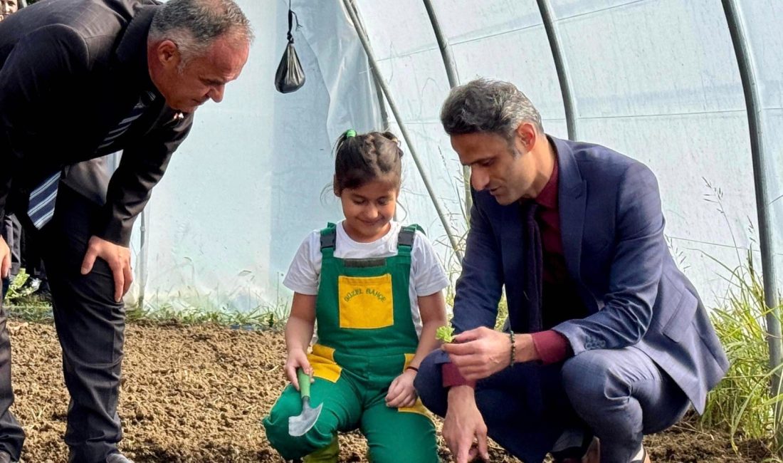 Zonguldak'ın Çaycuma ilçesinde 'Minik