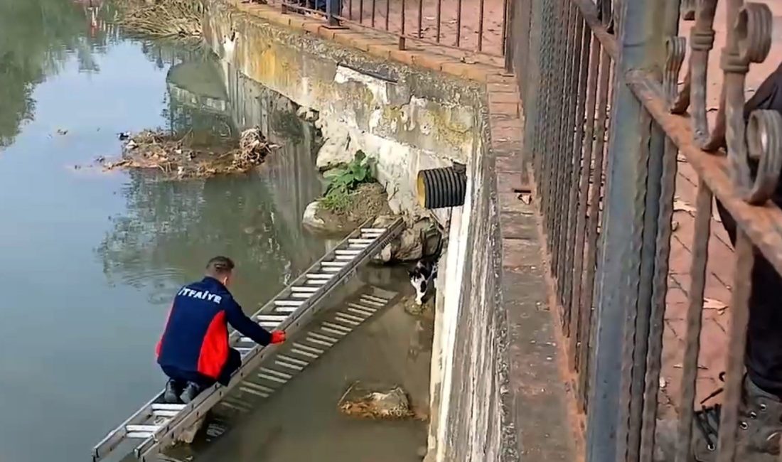  Zonguldak'ın Alaplı ilçesinde düştüğü