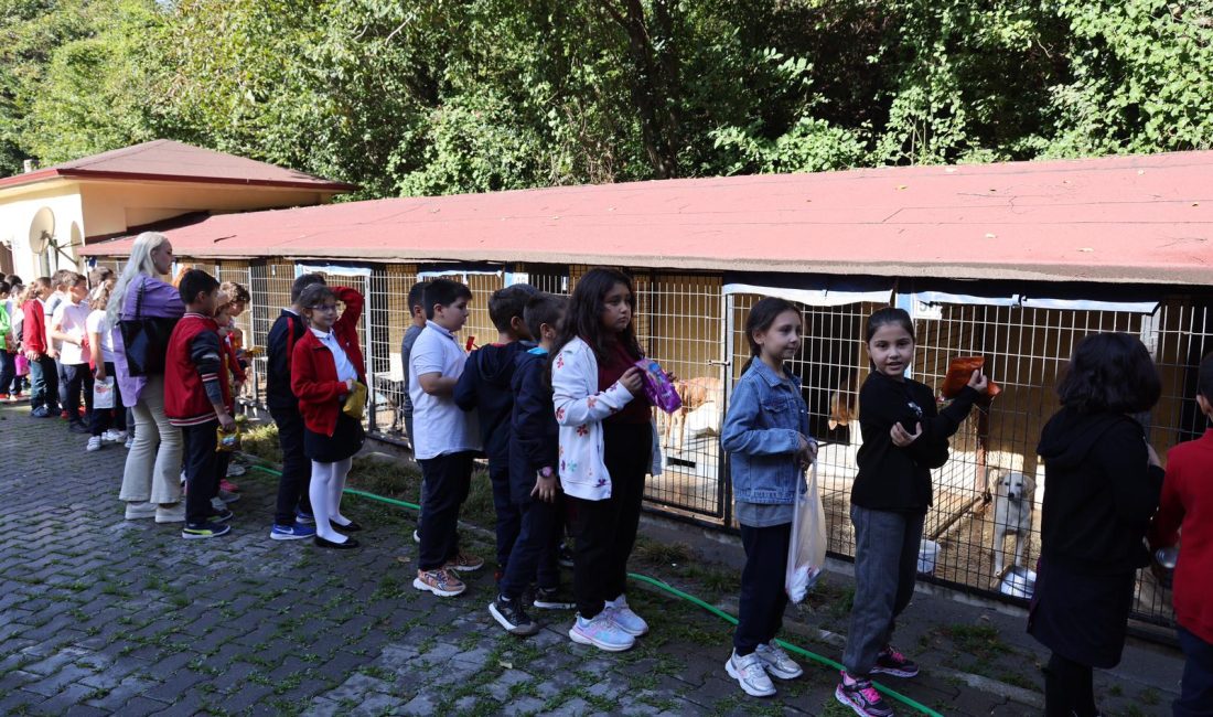 Zonguldak Belediyesi Sahipsiz Hayvan