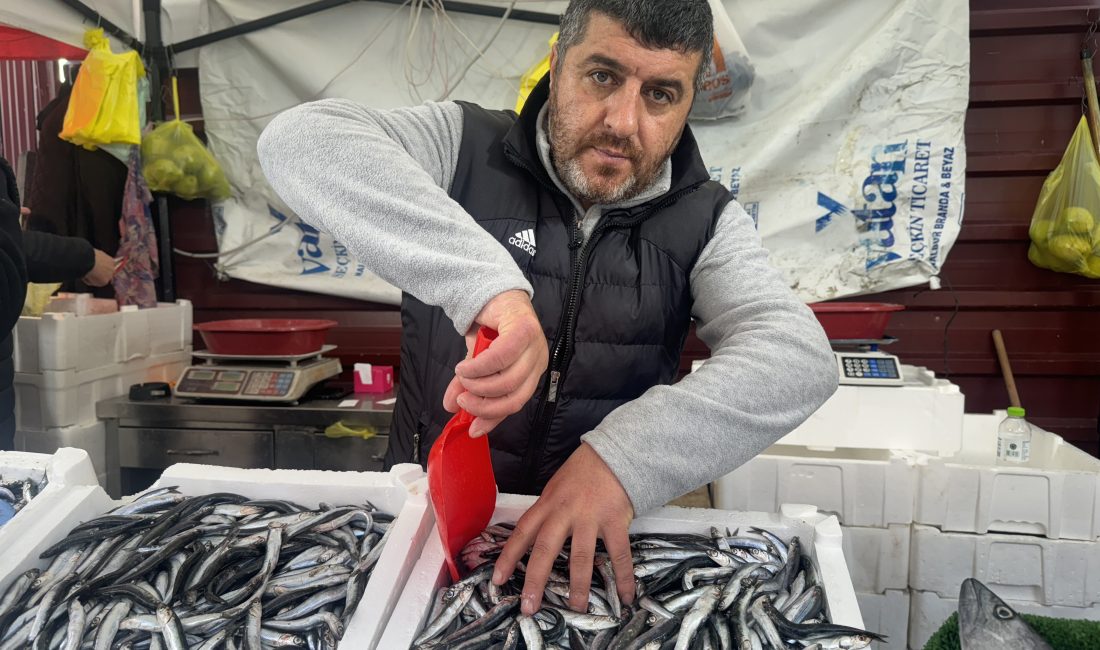 Zonguldak'ta bollaşması ile birlikte