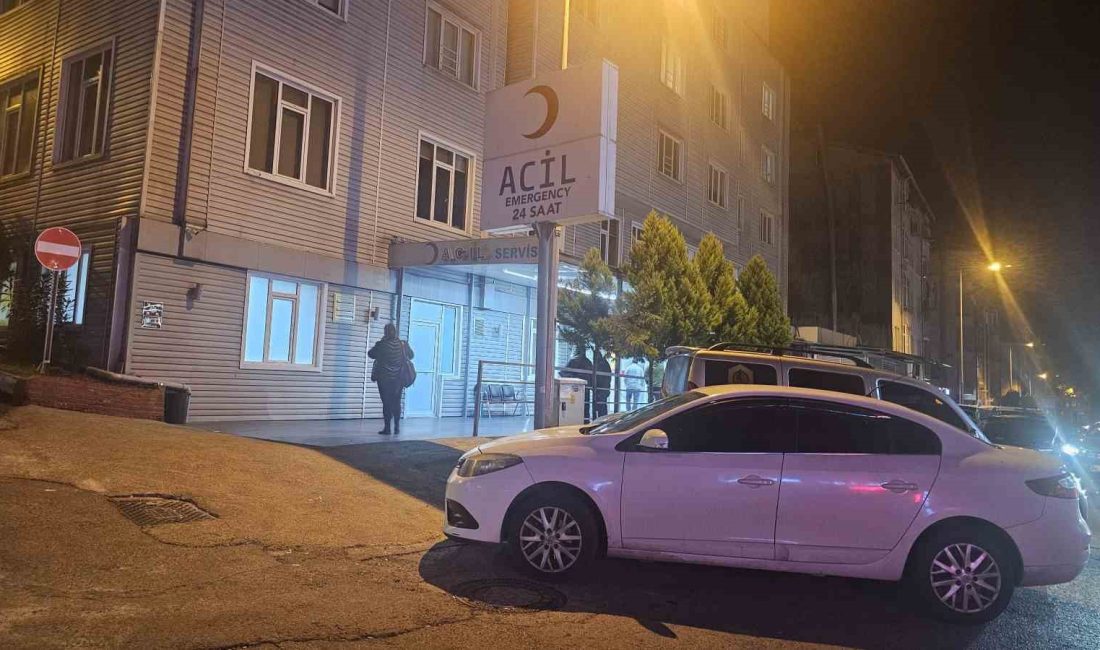 Zonguldak’ın Ereğli ilçesinde bir