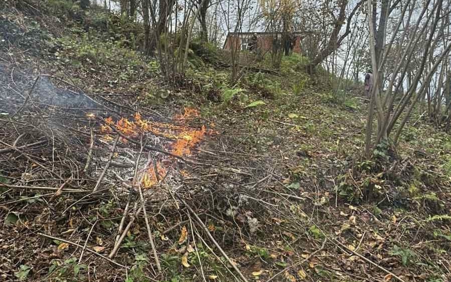 Zonguldak’ta fındık bahçesinde yakılan