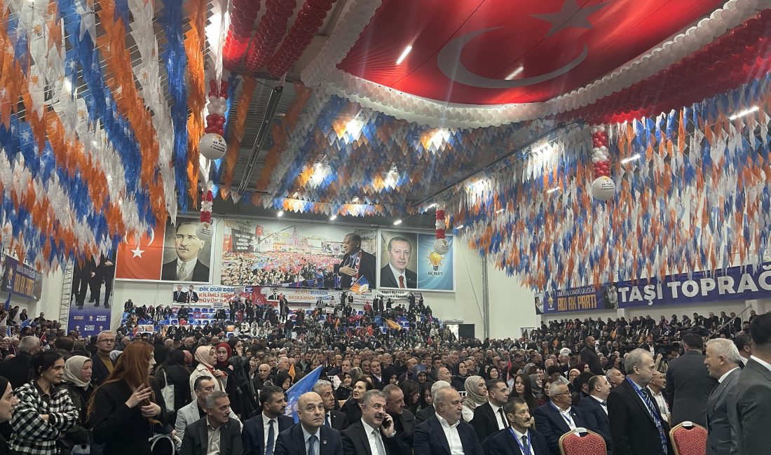 Ak Parti Zonguldak 8.